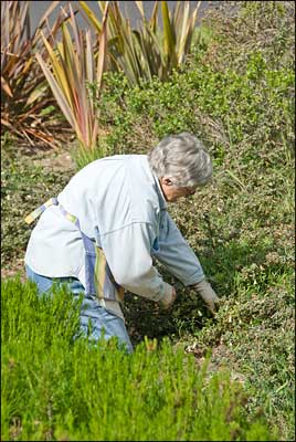 Maureen in her garden